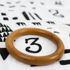 PICTURE-PERFECT Organic Cotton Muslin Milestone Blanket Gift Set