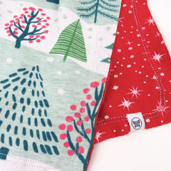 Multipack Organic Cotton Reversible Bandana Bibs