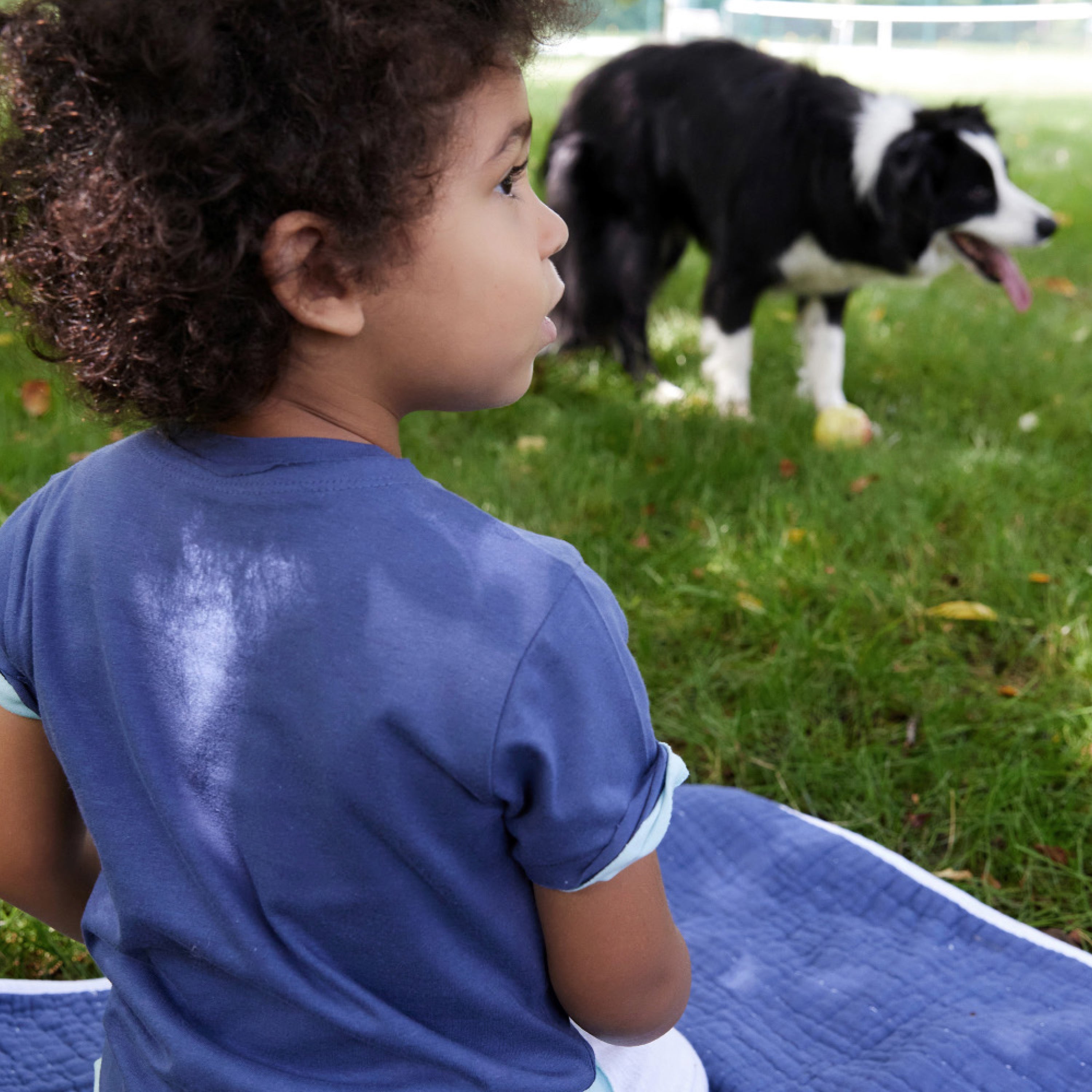 20-Pack Organic Cotton Short Sleeve T-Shirts Bundle