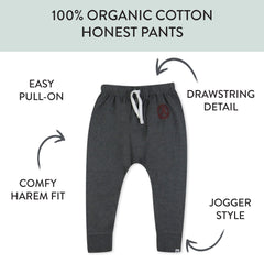 2-Pack Organic Cotton Honest Pants