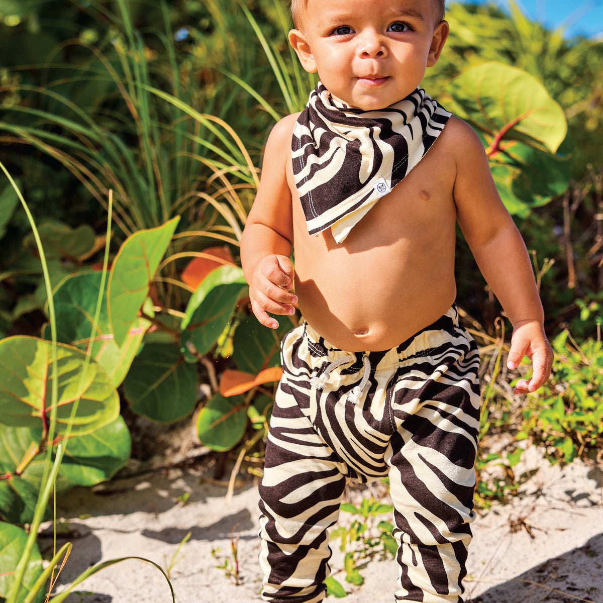 2-Pack Organic Cotton Honest Pants