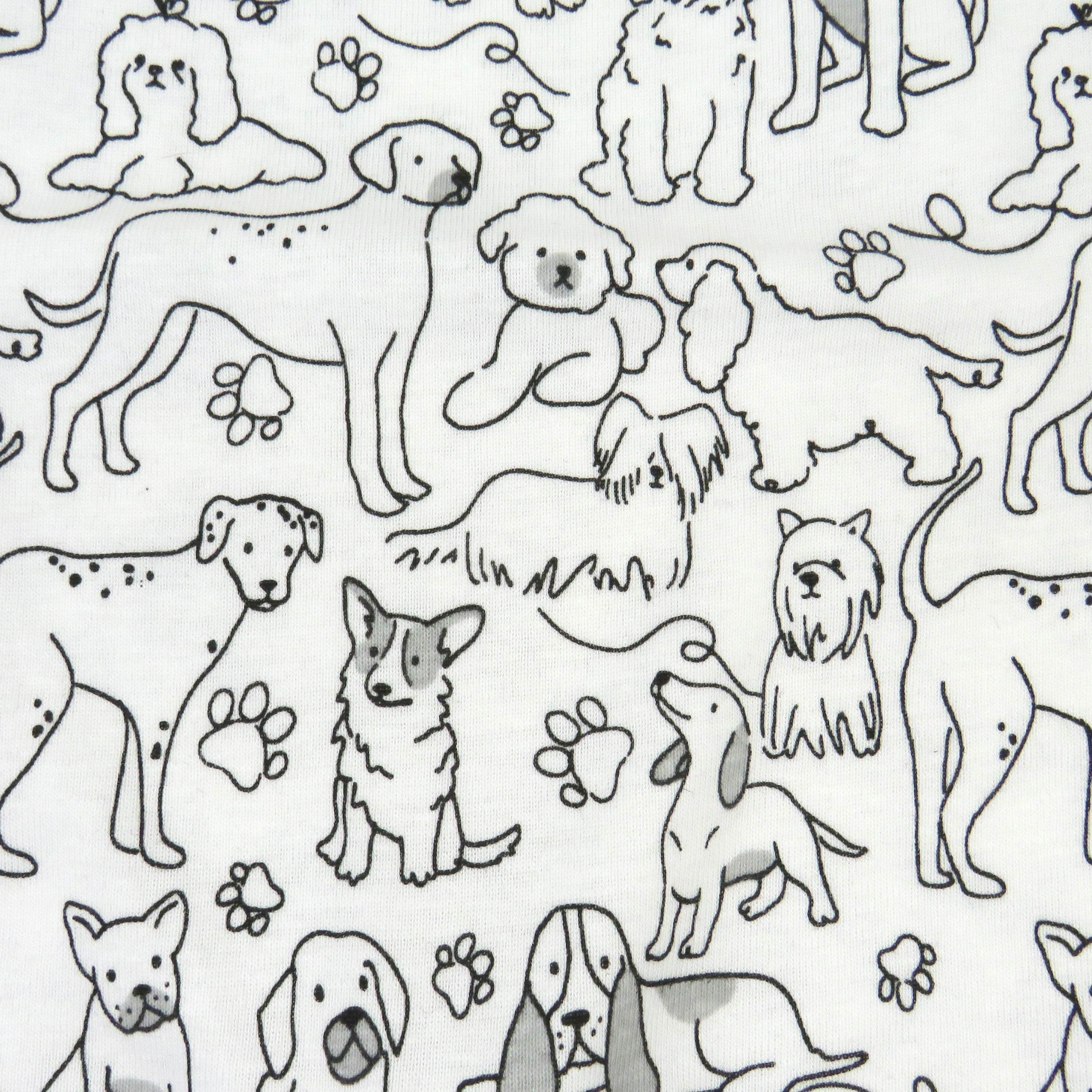 3-Pack Organic Cotton Short Sleeve Bodysuits