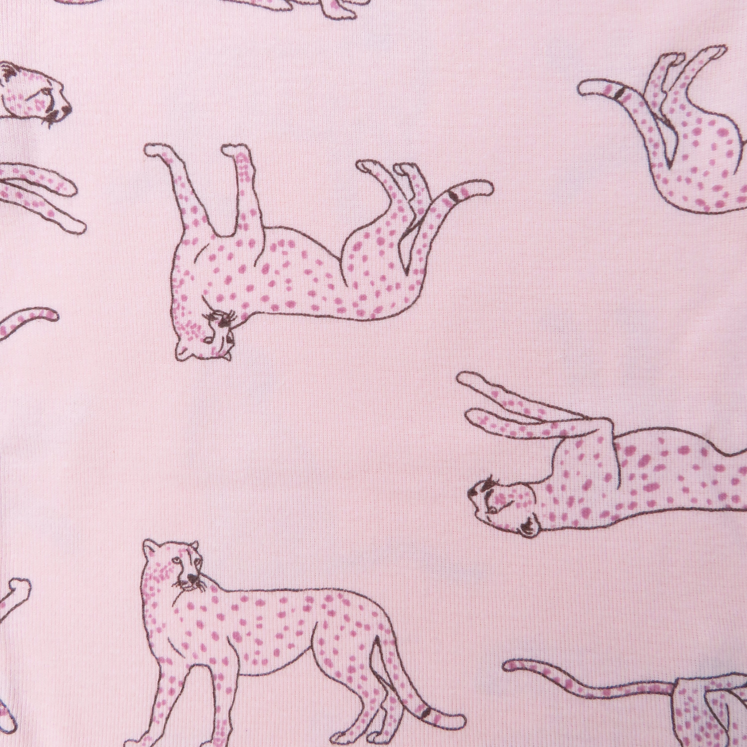 5-Pack Organic Cotton Short Sleeve Bodysuits