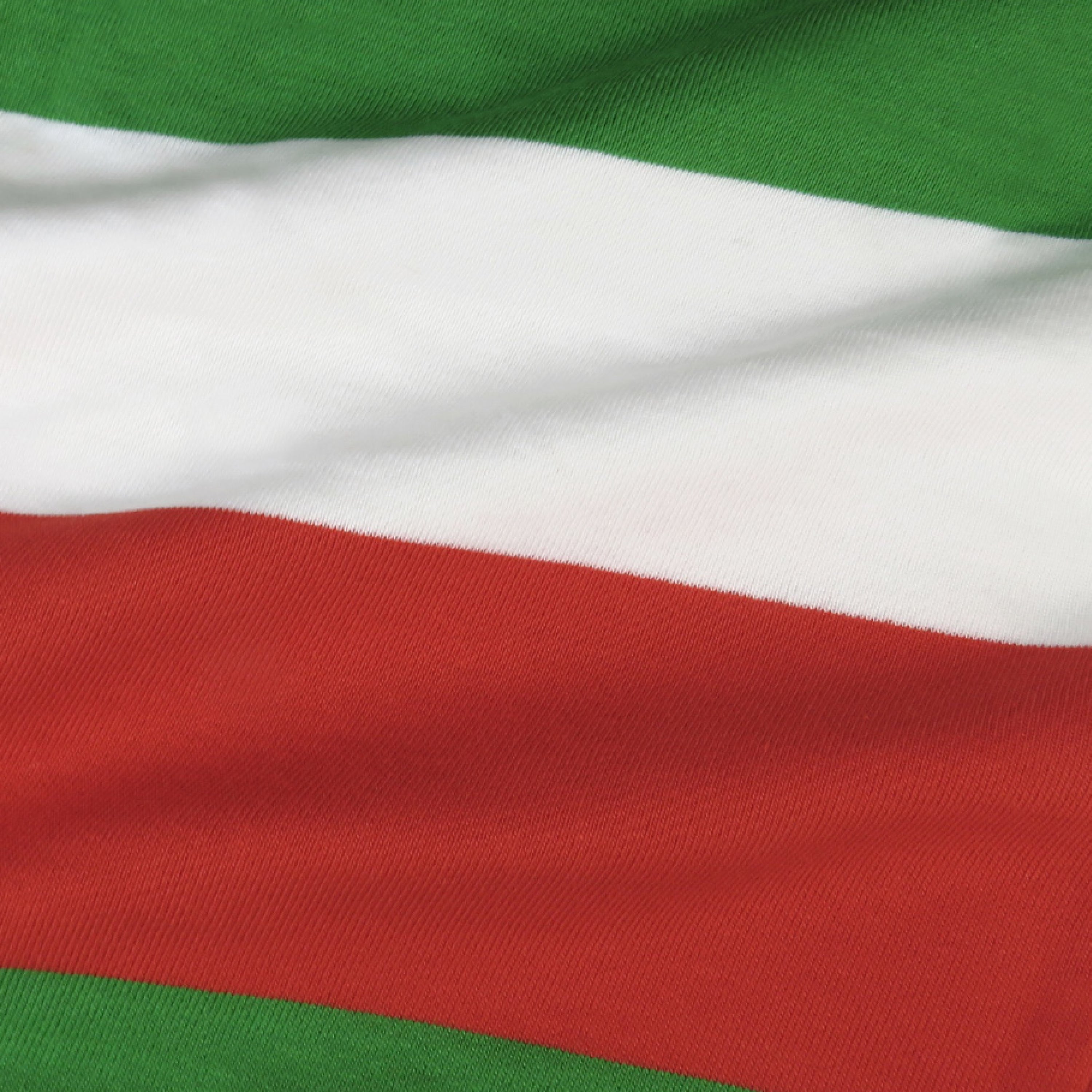 Organic Cotton Holiday Matching Family Pajamas