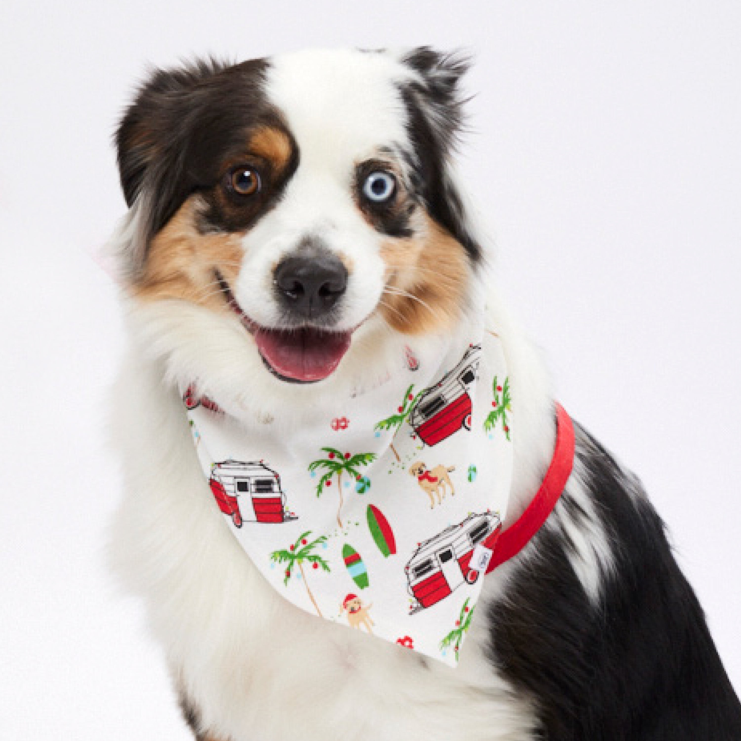 Organic Cotton Holiday Matching Family Pajamas