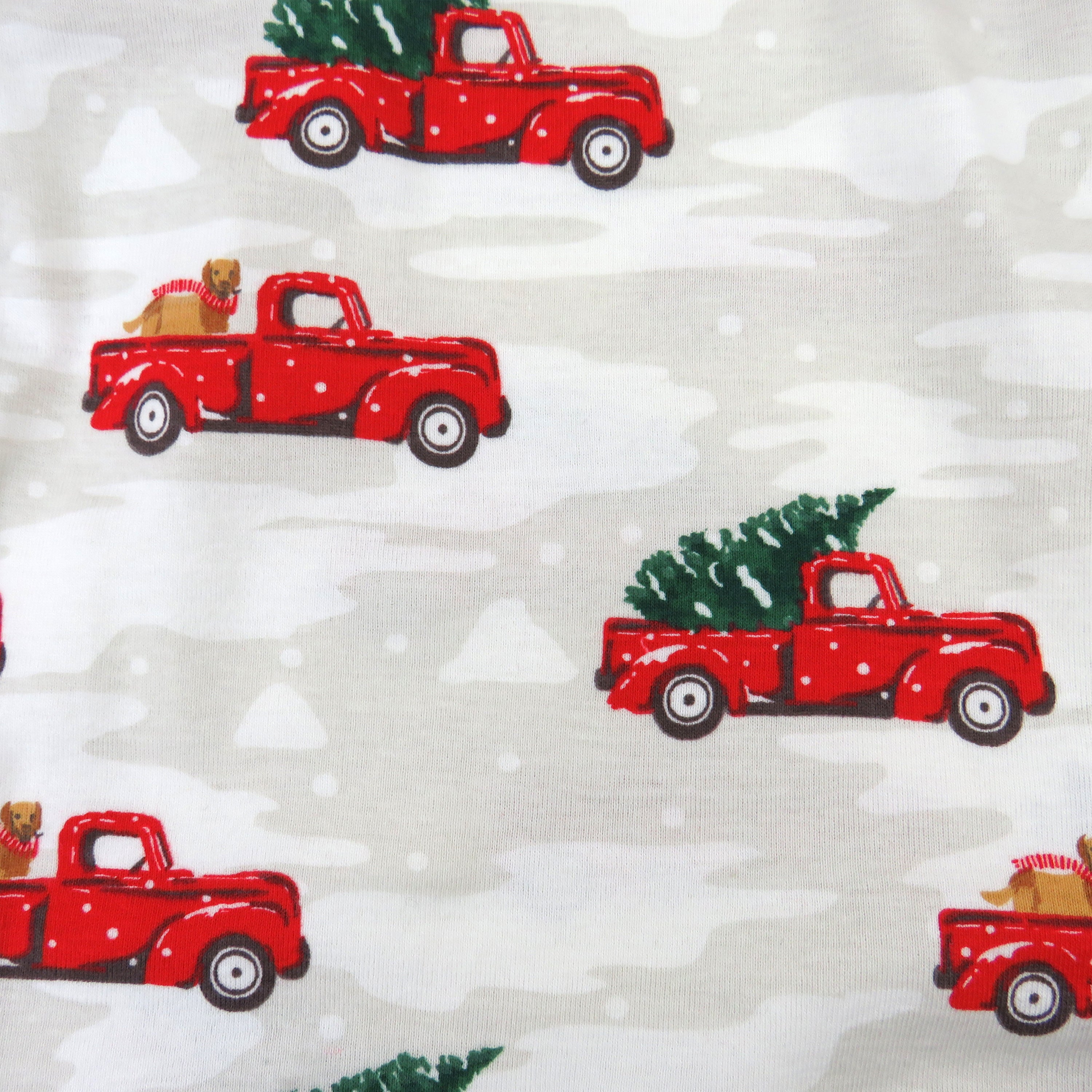 Organic Cotton Holiday Pajamas