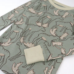 Organic Cotton Holiday Pajamas